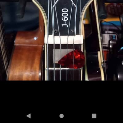 Washburn J600 image 3