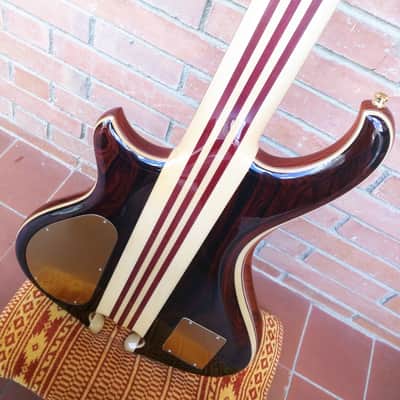 Alembic Mark﻿ King V Signature Deluxe CocoBolo 5 String 2015 image 11