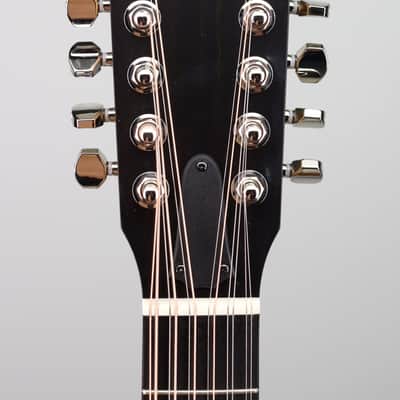 Taylor 254ce Plus 12-String image 3