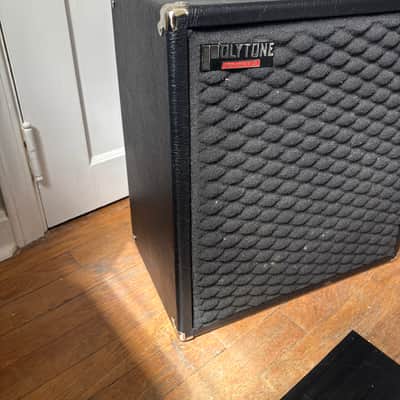 Polytone Satellite Extension Cab 1x15” 1980’s image 2