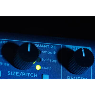 Strymon NightSky Time-Warped Reverberator Reverb Pedal image 14