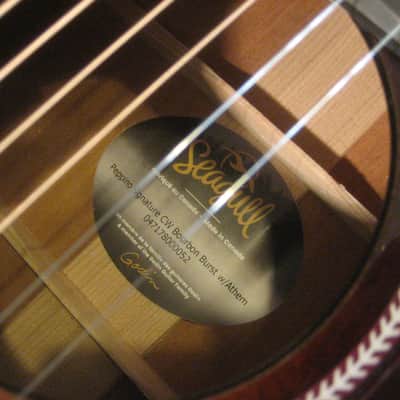 Seagull Peppino Signature CW Bourbon Burst Anthem  --repaired-- image 4