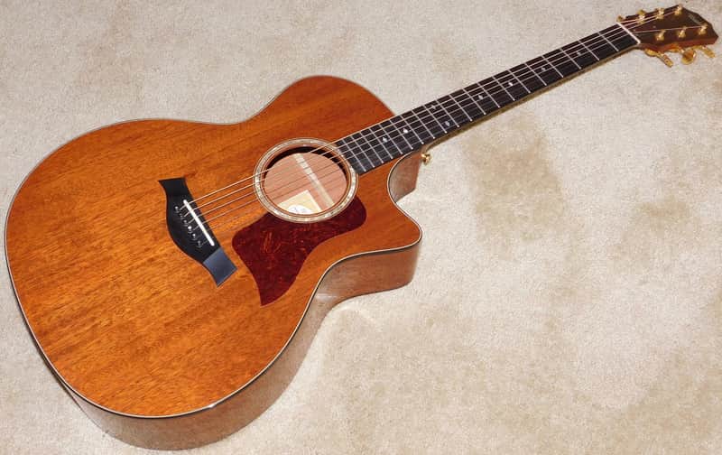 Taylor 514ce-L10 Acoustic/Electric Guitar*Fall Limited Edition