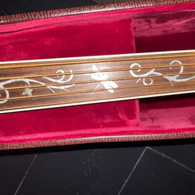 Michael Kelly 5 string Fretless Bass image 22