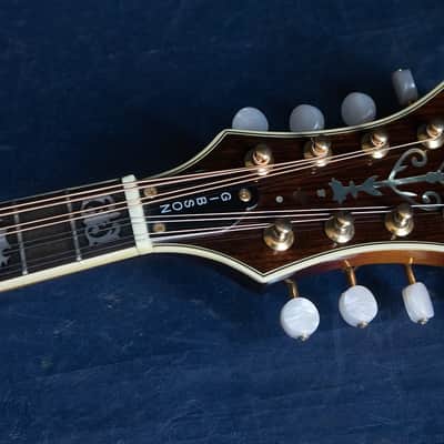 Epiphone 1983 Epiphone MM-50 image 10