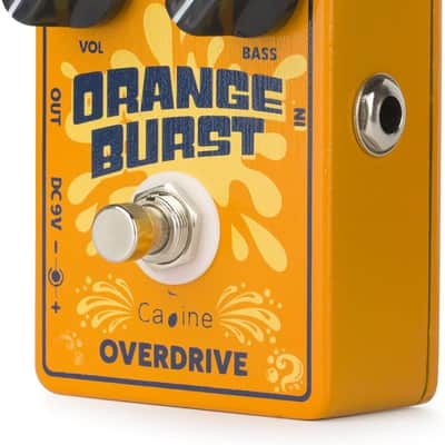 Caline CP-516 2024 - Orange image 2