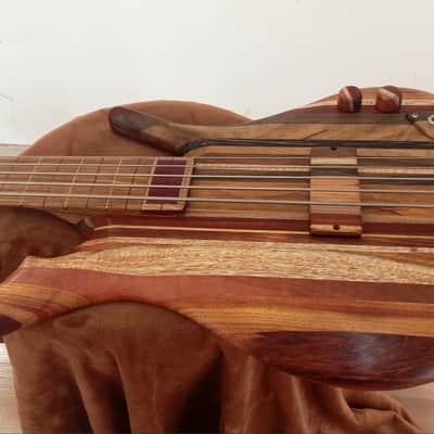 Thompson tribute Bassovarius #2 "Full Rainbow"5 strings bass image 5