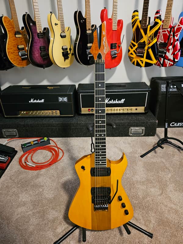Floyd Rose Redmond Seattle Prototype image 1