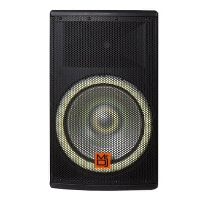 Mr. DJ SYNERGY15 15 Inch 4500W 15" PRO Powered Loudspeaker Portable Speaker System image 15