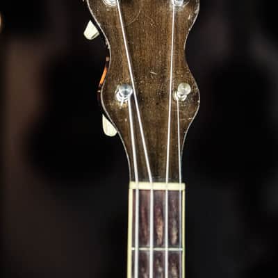 1928 Levin Model T 175 Tenor Banjo image 3