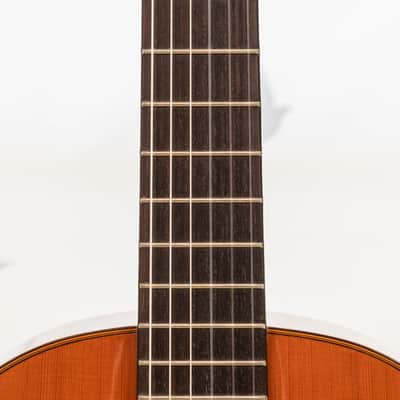 Daion DC-300 Classical Guitar image 9