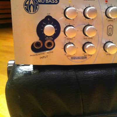 SWR Mo'Bass head image 2