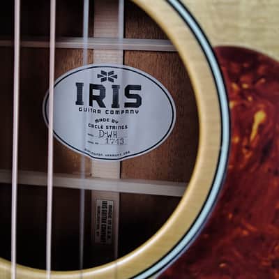 Iris Guitars D-WH Natural image 4