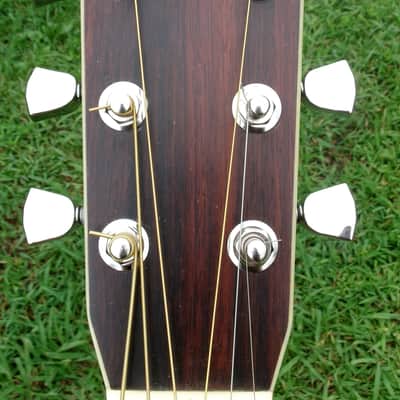 Sada Yairi YD304 Brazilian Rosewood 1979 Natural+Hard Case image 6