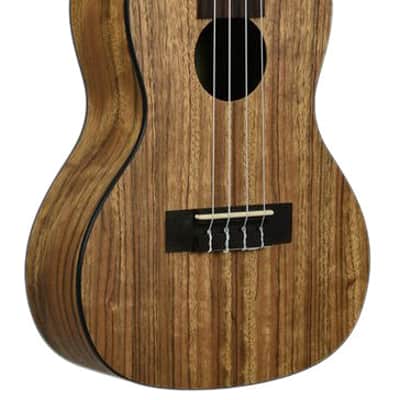 Kala KA-PWC Pacific Walnut Concert Ukulele image 3