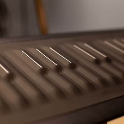 ROLI Seaboard RISE 25 2010s - Black image 5