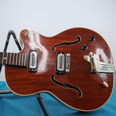 Arnold Hoyer Hollow Body 60's - brown image 2