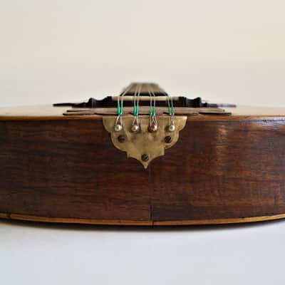 Mandolin by J. Murthwaite Newcastle 1901 image 12