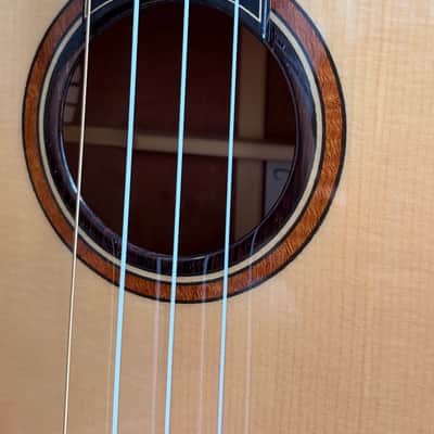 Hive Hornet Tenor Ukulele #13015 – Spruce / Mahogany – Gold Waverly Tuners – Ameritage Case image 4