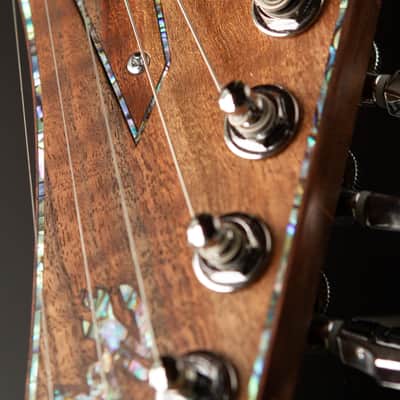 Hoff Guitars Valnut (Neck-Through, Multi-Scale, Semi-Hollow V 2024 - Polymerized Tung Oil image 21