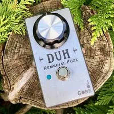 Joe Gore - Duh Remedial Fuzz image 1