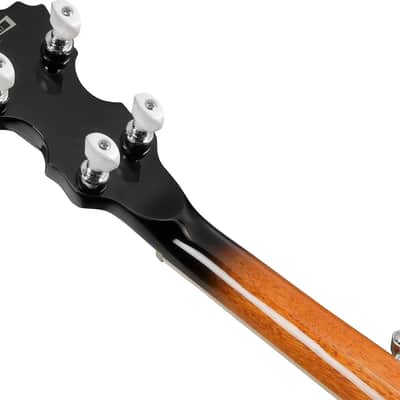 Ibanez BA250 United States 250th Anniversary Limited Edition Resonator Banjo, Purpleheart Fingerboard, America 250 image 6