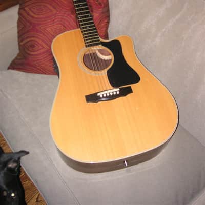 Guild DCE5 2001 image 1