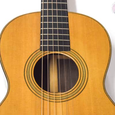 Martin  Style 21  1883-1889 image 2