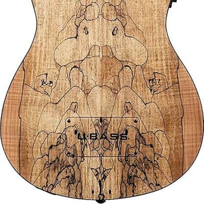 Kala Spalted Maple 4-String Acoustic-Electric U-BASS, Spalted Maple Top image 3