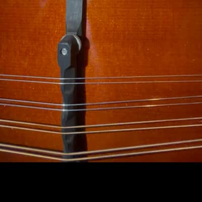 Gibson F-5G 1995 - Sunburst image 6