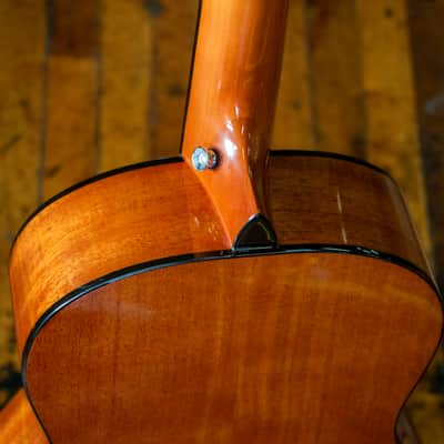 Greystone Road Trip Mini Acoustic Guitar with Gigbag image 19