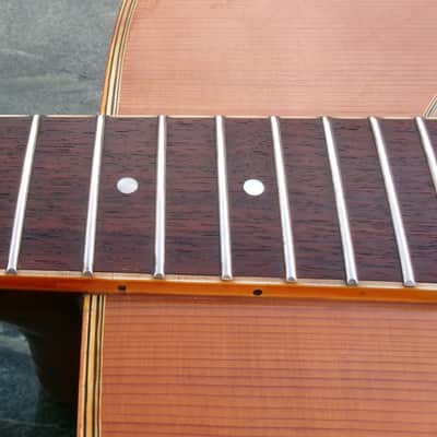 Takamine Elite TW60  Brazilian Rosewood '70 Natural+Hard Case image 23