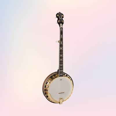 Washburn B17 Americana 5-String Banjo (Tobacco Sunburst) *USA Small Business* image 2