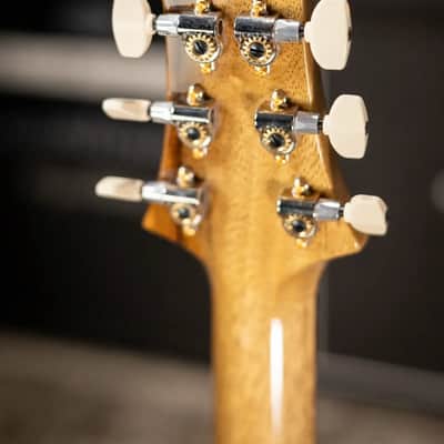 PRS 40th Anniversary Special Semi-Hollow Artist Top Electric Guitar - Custom Color with Hardshell Case image 6