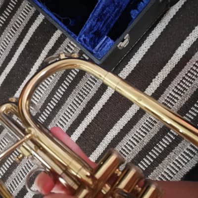 Blessing Artist Flugelhorn with Bach Mouthpiece and Dual Horn Case image 10