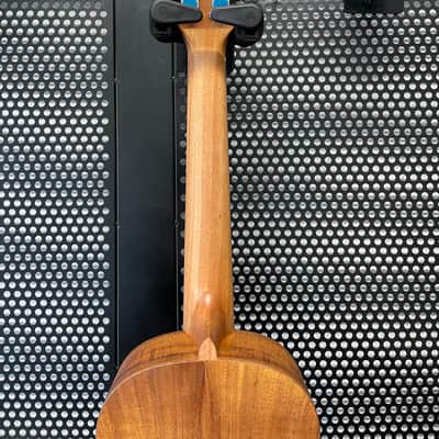 Snail SR05TE 2026 - Natural Matt Workshop Number 208 image 8