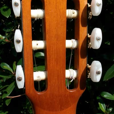 1975 Manuel G. Contreras (1st generation) Classical Guitar Calle Mayor 80, Madrid Cedar Top / Rosewood Body Original Hard Case image 14