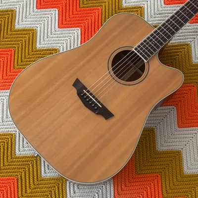 Parkwood PW360M Solid Wood Dreadnaugh Acoustic Electric - 2005! - Great Guitar! - image 1