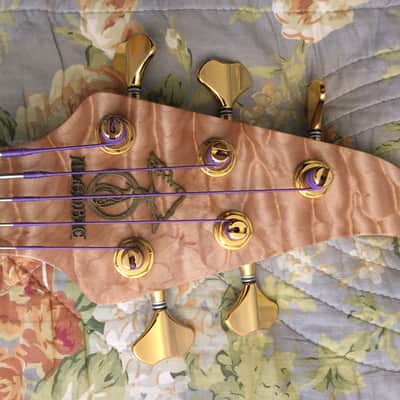 Alembic Orion Fretless 5-String image 6