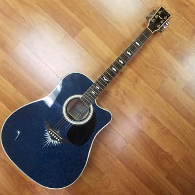 Esteban American Legacy Starlight Limited Edition Acoustic Electric Guitar image 2