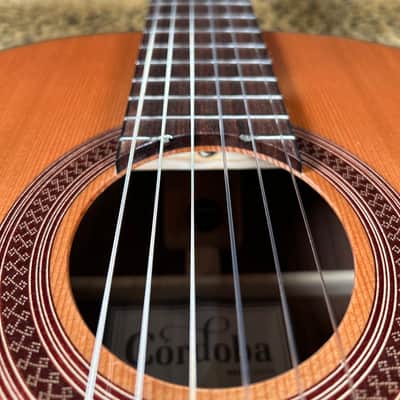 Cordoba C7 CD/IN Classical Guitar Natural 2025 image 5
