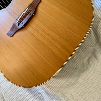 2004 Takamine AN10 image 11