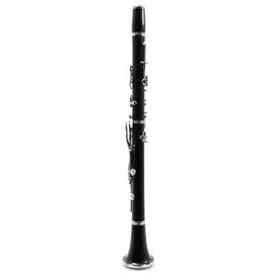 Buffet Crampon R13 Professional Bb Clarinet in Grenadilla SN 542908 image 7