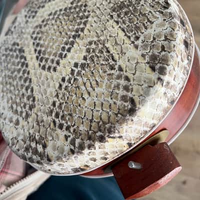 Mongolian Shanz/Shadruga (like Sanxian/Shamisen) – Fretless Folk Banjo image 22