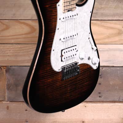 ESP Snapper CTM Electric Guitar Tiger Eye Sunburst w/ Case image 2