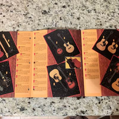 Epiphone Brochure Catalog  1982 Sheraton Casino image 2