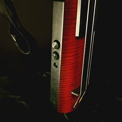 NS Design NXT4 Double Bass image 6