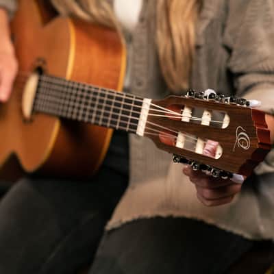 Ortega R122-3/4 Family Series Cedar Top Mahogany Neck 3/4-Size Nylon 6-String Classical Acoustic Guitar w/Gig Bag image 18