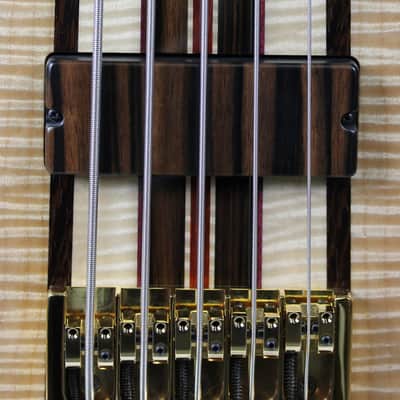 ESP Stream Original Series Custom Shop NAMM Exhibition Bass Guitar image 14