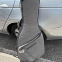 Mono M80-SEB-ASH Electric Bass Guitar Sleeve 2010s - Ash Gray